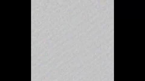 Ely online show from March 12, 11:31 am