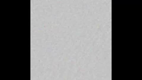 Ely online show from September 29, 11:48 am