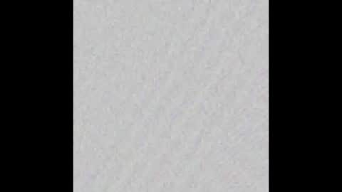 Ely online show from October 1, 11:27 am