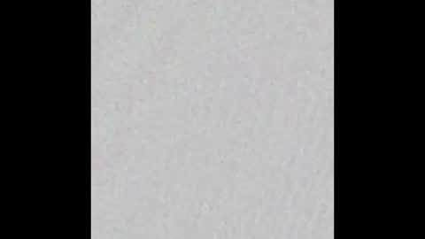 Ely online show from October 2, 11:39 am