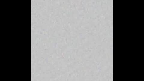 Ely online show from October 3, 11:29 am