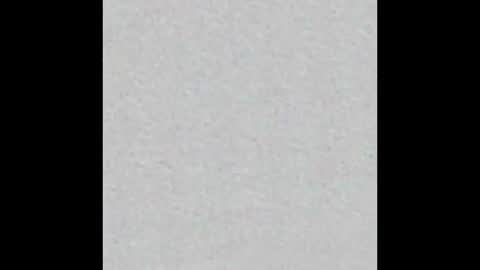 Ely online show from October 6, 11:40 am