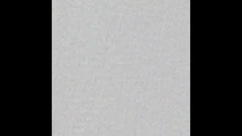 Ely online show from October 21, 11:33 am