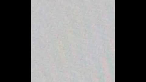 Ely online show from October 25, 11:29 am