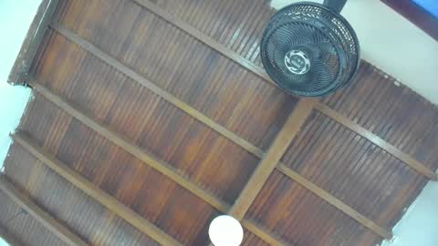 Emily  online show from January 16, 11:03 am