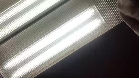 emilyclear online show from May 14, 8:21 am