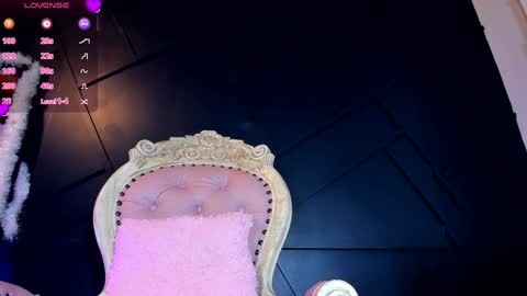 Snapshot of emilyh_ chatting on January 8, 10:37 am Emily online show from January 8, 10:37 am