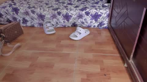 whises lits        online show from October 23, 2:16 pm