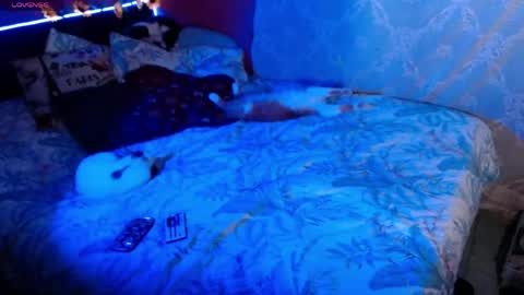emma online show from May 16, 3:47 am