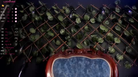 ENJU  I will be back online at 830PM GMT-5 online show from December 7, 4:53 am