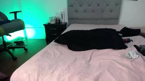 Perla online show from November 12, 6:03 am