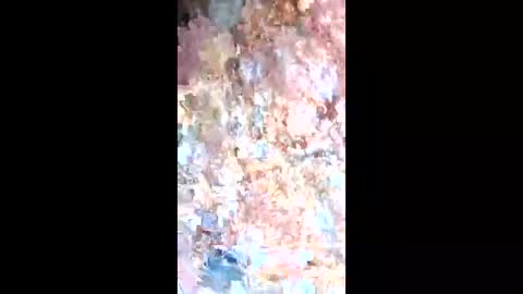 esteralcantara online show from February 9, 5:50 pm