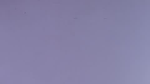 Snapshot of estrella_hanks_ chatting on October 1, 12:00 pm Estrella online show from October 1, 12:00 pm