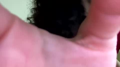 Snapshot of eulilah222 chatting on September 17, 3:41 am eulilah222 online show from September 17, 3:41 am