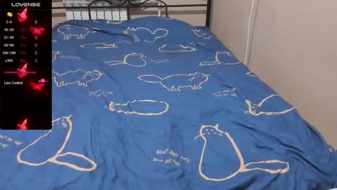 Eva online show from November 27, 4:42 pm