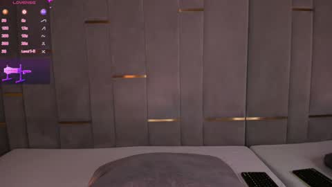 Snapshot of evalims chatting on January 29, 3:58 pm EVA online show from January 29, 3:58 pm