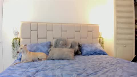 even_scoty online show from October 25, 12:23 pm