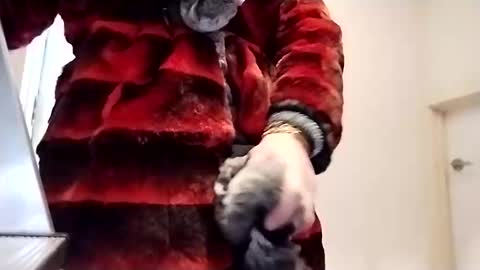 Snapshot of evesimmons chatting on October 22, 10:53 pm evesimmons online show from October 22, 10:53 pm