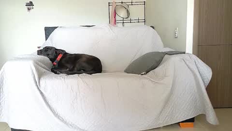 evil_boss1 online show from April 22, 8:32 pm