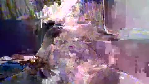 Naaktloper online show from February 10, 4:22 pm