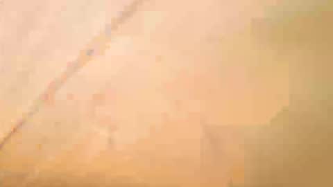 Exhibboytoy3 online show from May 16, 12:59 pm