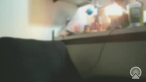 Snapshot of exoticlexi chatting on February 4, 7:14 am Exoticlexxii online show from February 4, 7:14 am