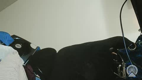 Snapshot of exoticlexi chatting on February 14, 7:27 am Exoticlexxii online show from February 14, 7:27 am