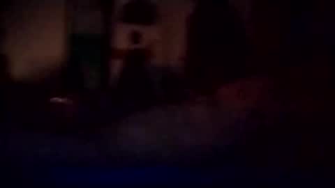 experttreecompany online show from March 3, 12:11 pm