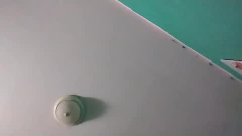 experttreecompany online show from March 14, 10:10 am