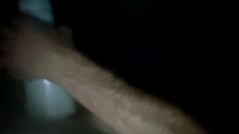 experttreecompany online show from March 24, 12:32 pm