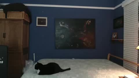 Snapshot of extrafirmtofu chatting on December 26, 4:53 am Tommy Rose online show from December 26, 4:53 am