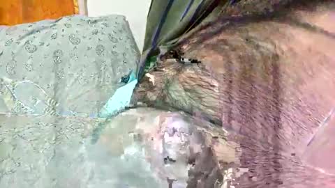 ezzz_au20 online show from November 2, 5:32 am