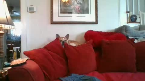 Snapshot of falconbator8 chatting on December 3, 3:11 pm falconbator8 online show from December 3, 3:11 pm