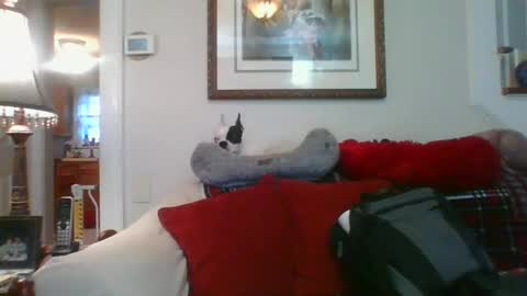 Snapshot of falconbator8 chatting on January 1, 1:27 pm falconbator8 online show from January 1, 1:27 pm