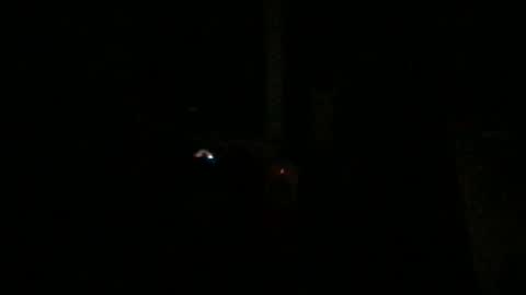 fantasticdeee online show from January 6, 3:20 am