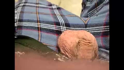 Snapshot of fartinmymouthplz chatting on November 18, 3:45 am fartinmymouthplz online show from November 18, 3:45 am