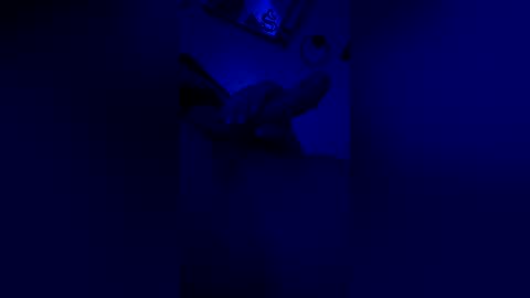 fastmula1 online show from April 3, 12:03 pm