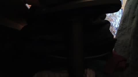 Fat Bernd online show from October 26, 3:51 pm