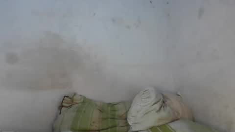 Faux Feitico VSW online show from March 31, 4:18 pm