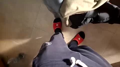 Fede online show from December 24, 6:55 am