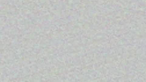 FeleenaFux online show from May 3, 7:20 pm
