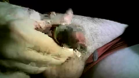 Snapshot of felicaste chatting on November 26, 8:43 pm felicaste online show from November 26, 8:43 pm