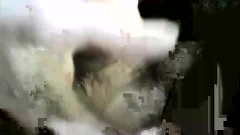 Snapshot of felicaste chatting on December 2, 8:59 pm felicaste online show from December 2, 8:59 pm