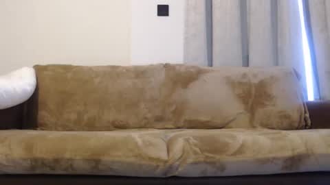 FelineChic online show from January 10, 4:44 am