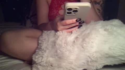     online show from November 13, 3:49 am