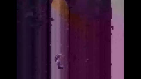 feog197475512 online show from November 3, 3:30 am