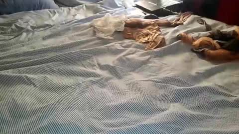 Snapshot of ffst0ckings chatting on December 25, 7:56 pm ffst0ckings online show from December 25, 7:56 pm