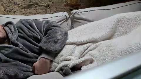 Fid online show from January 20, 10:40 am