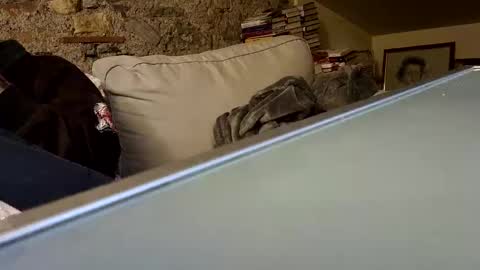 Fid online show from January 28, 10:23 pm