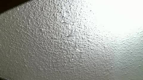 FIERYWOMAN online show from October 7, 4:26 pm